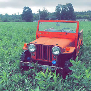 Meet your Posher, Jeb